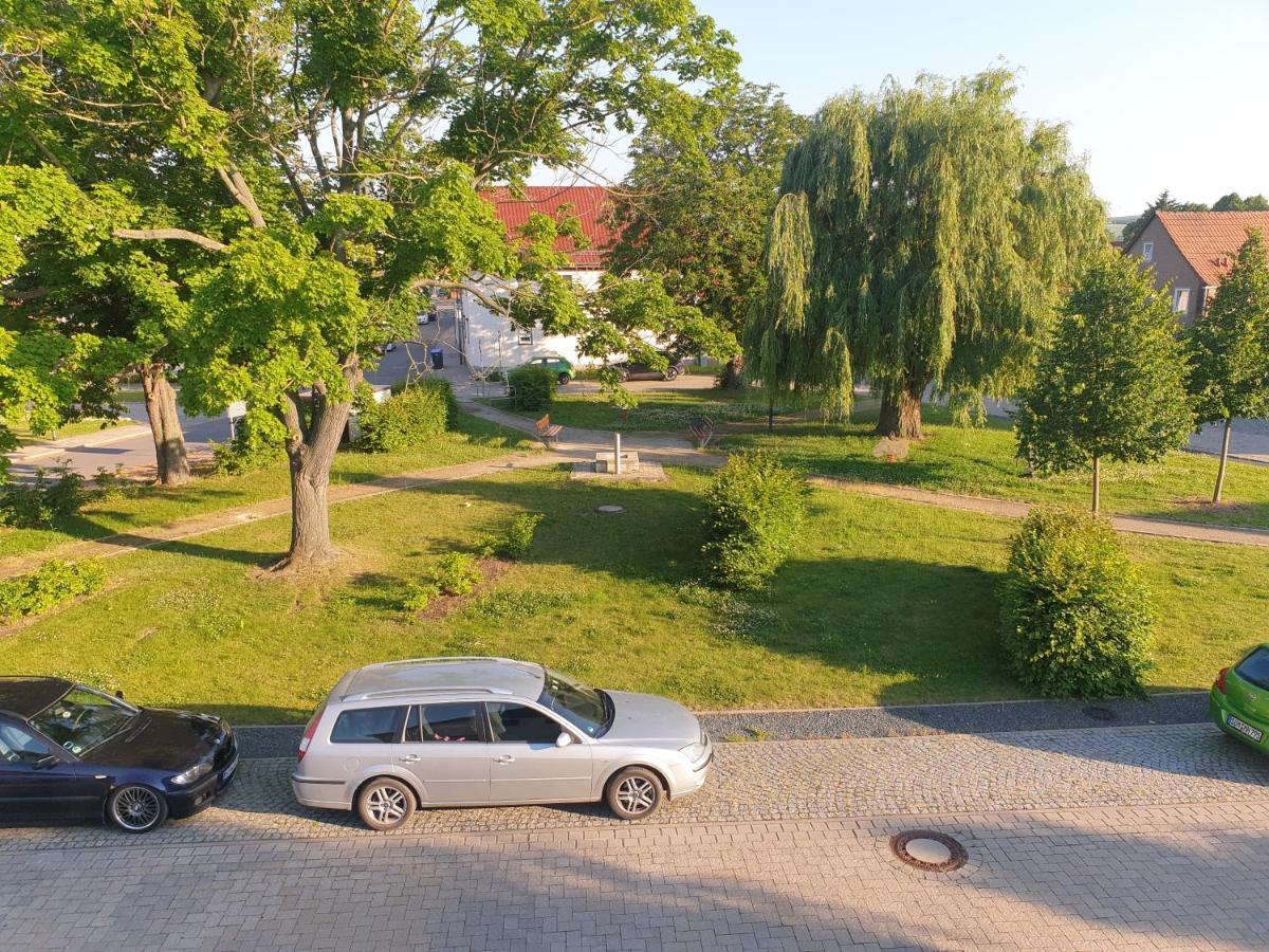 Elxleben Ganze Ferienwohnung 5 Km Von Erfurt, Mit Kaffeevollautomat, Tv, Wlan, Boxspringbett, Schlafsofa Und Einkaufsmoeglichkeiten, Sehr Gute Anbindung Zur A71 Und A4, Kostenloser Oeff Parkplatz Fuer Pkw Und Transporter מראה חיצוני תמונה